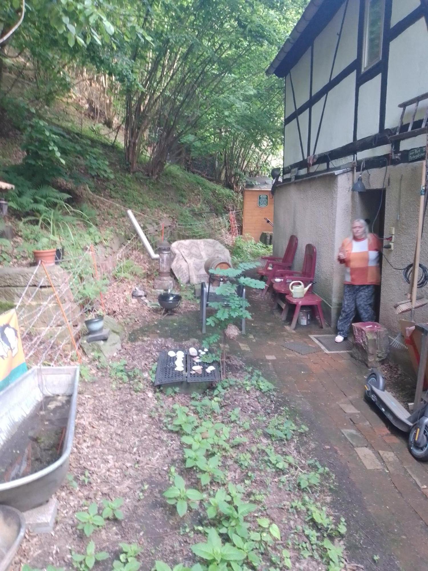 Zum Stillen Himmelbett In Lichtenwalde Niederwiesa Exterior foto
